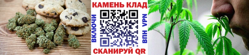 Canna-Cookies марихуана  Нижнекамск 