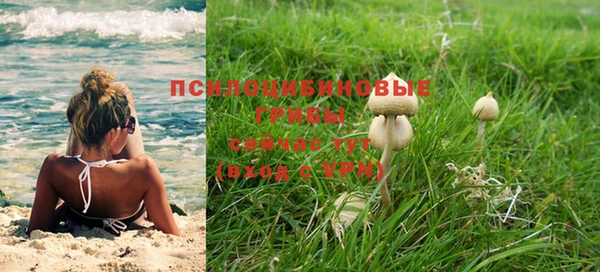 герыч Магас
