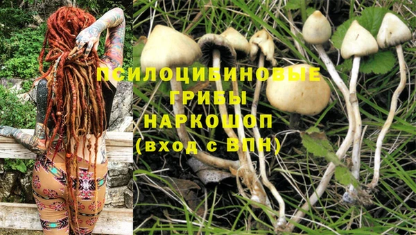 герыч Магас