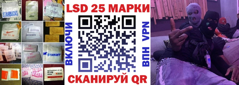 дарнет шоп  Нижнекамск  LSD-25 экстази кислота 
