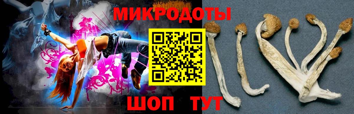 Галлюциногенные грибы Magic Shrooms Нижнекамск