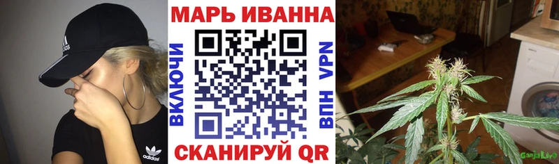 где найти   Нижнекамск  Канабис планчик 